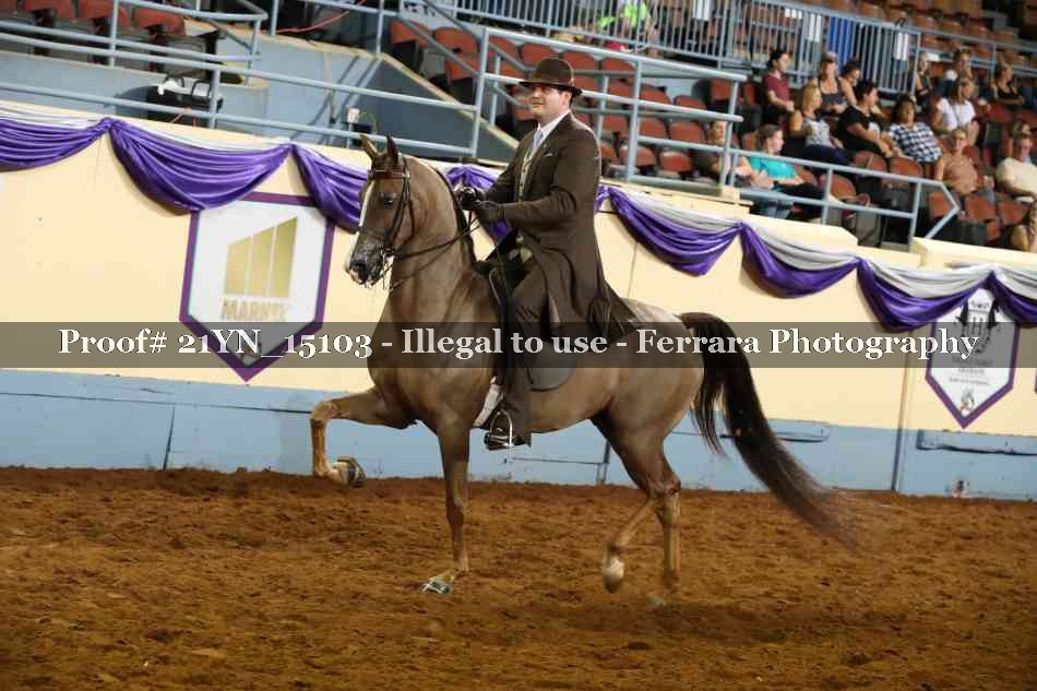 Proof 21YN_15103