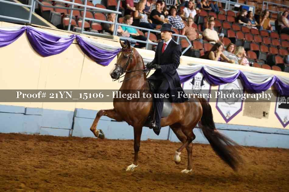 Proof 21YN_15106