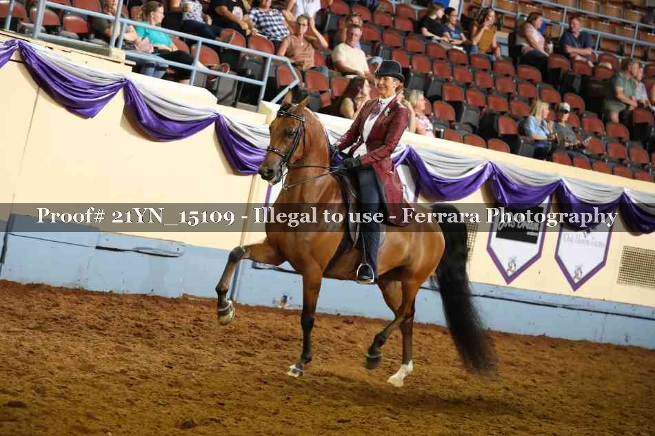 Proof 21YN_15109