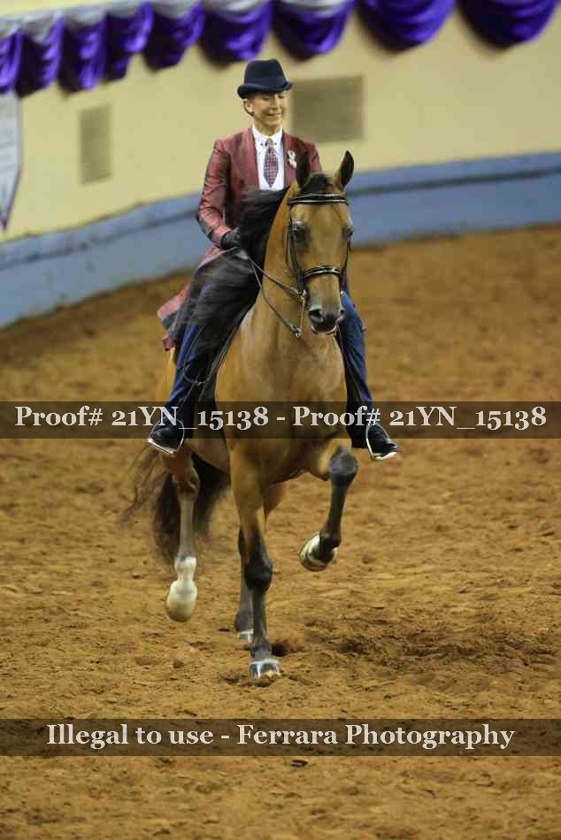 Proof 21YN_15138