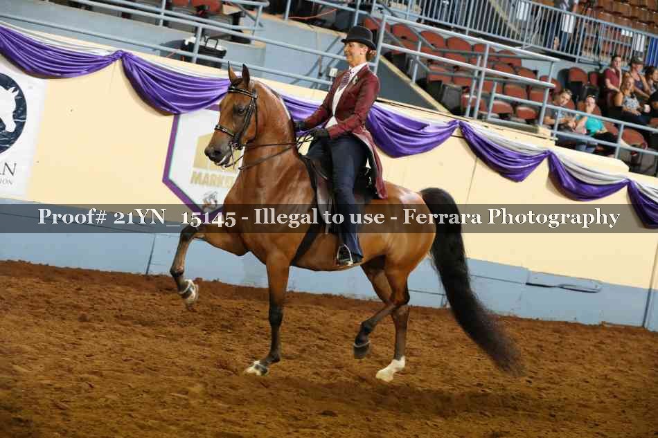 Proof 21YN_15145