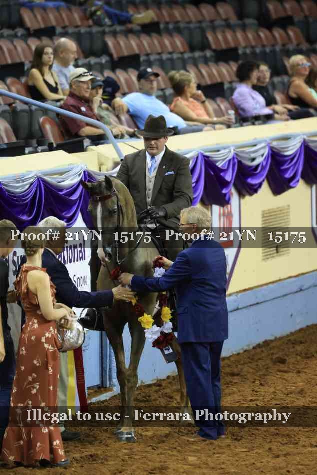 Proof 21YN_15175