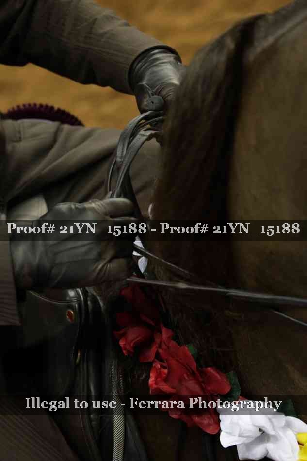 Proof 21YN_15188