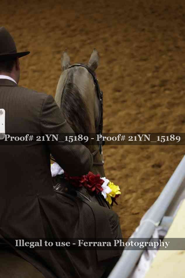 Proof 21YN_15189