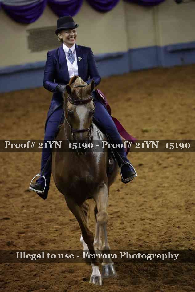Proof 21YN_15190