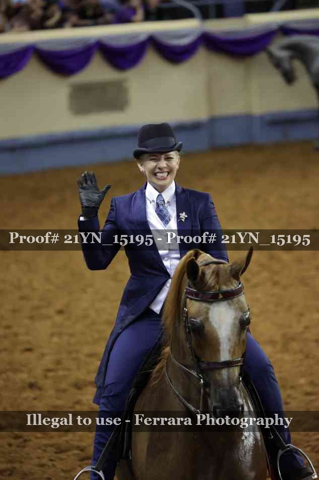 Proof 21YN_15195