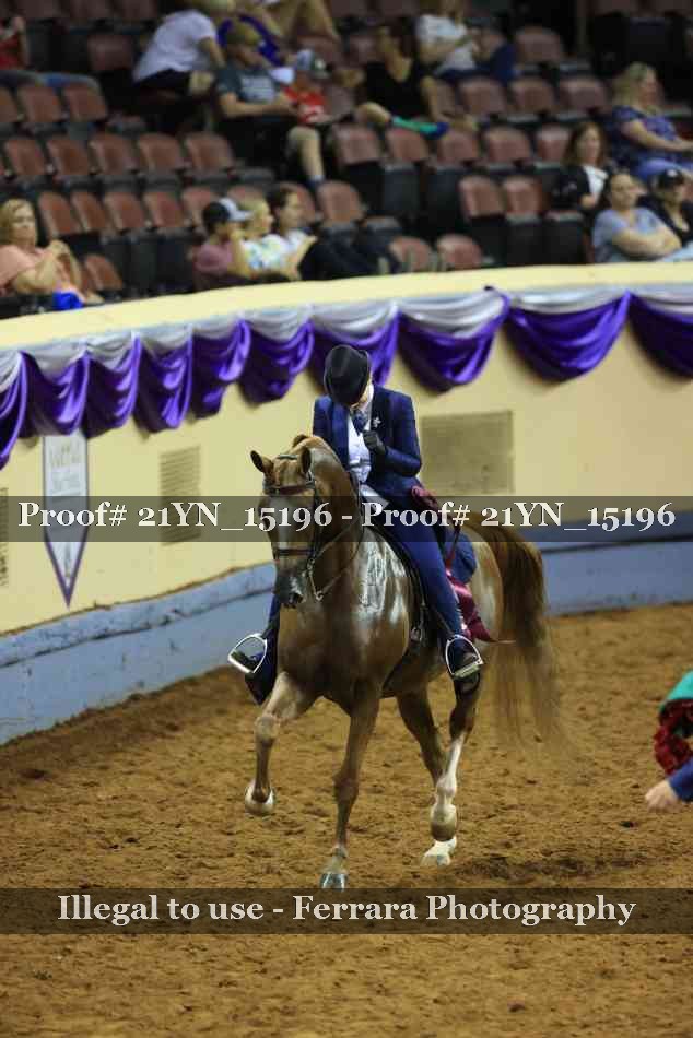 Proof 21YN_15196