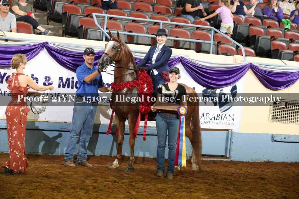 Proof 21YN_15197