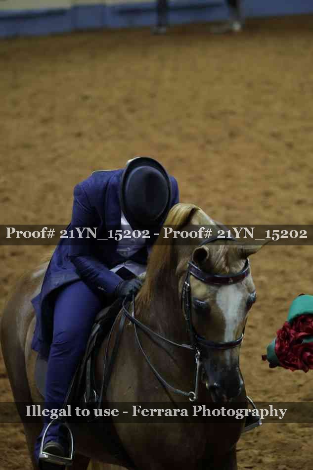 Proof 21YN_15202