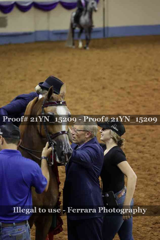 Proof 21YN_15209