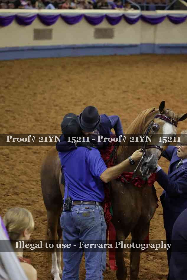 Proof 21YN_15211