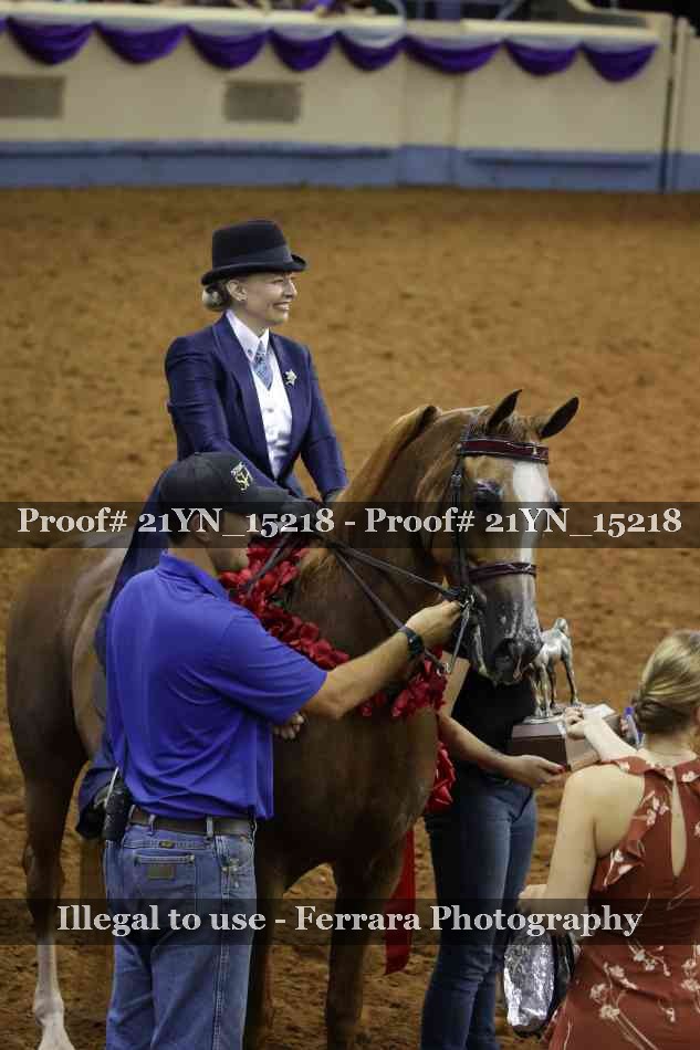 Proof 21YN_15218