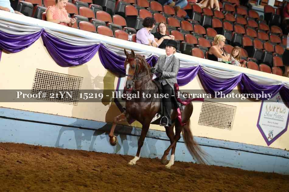 Proof 21YN_15219
