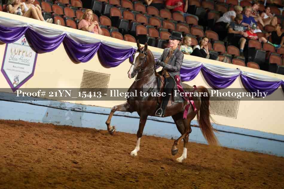 Proof 21YN_15413
