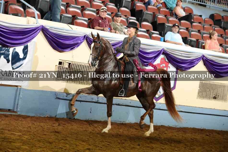 Proof 21YN_15416