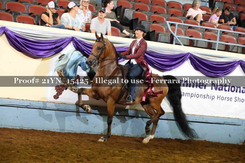 Proof 21YN_15425