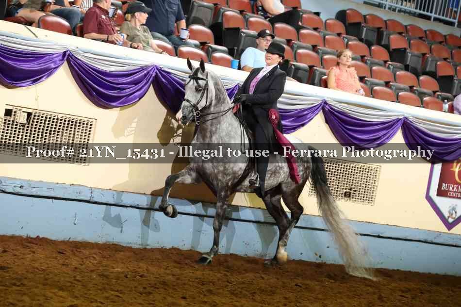 Proof 21YN_15431