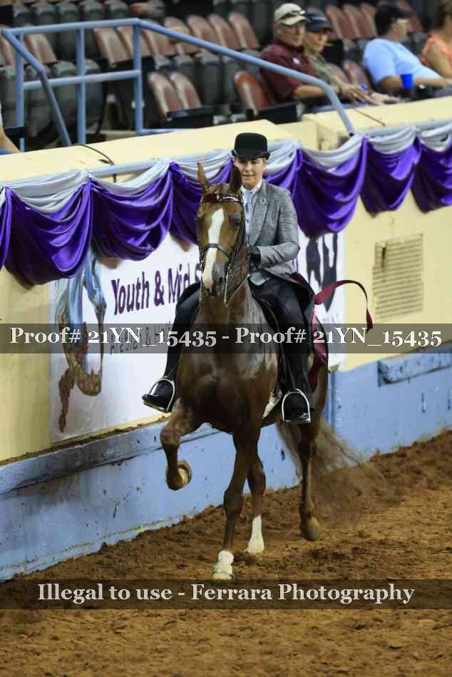 Proof 21YN_15435