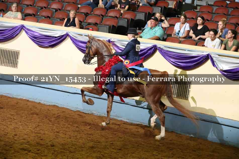 Proof 21YN_15453