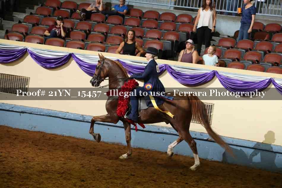 Proof 21YN_15457