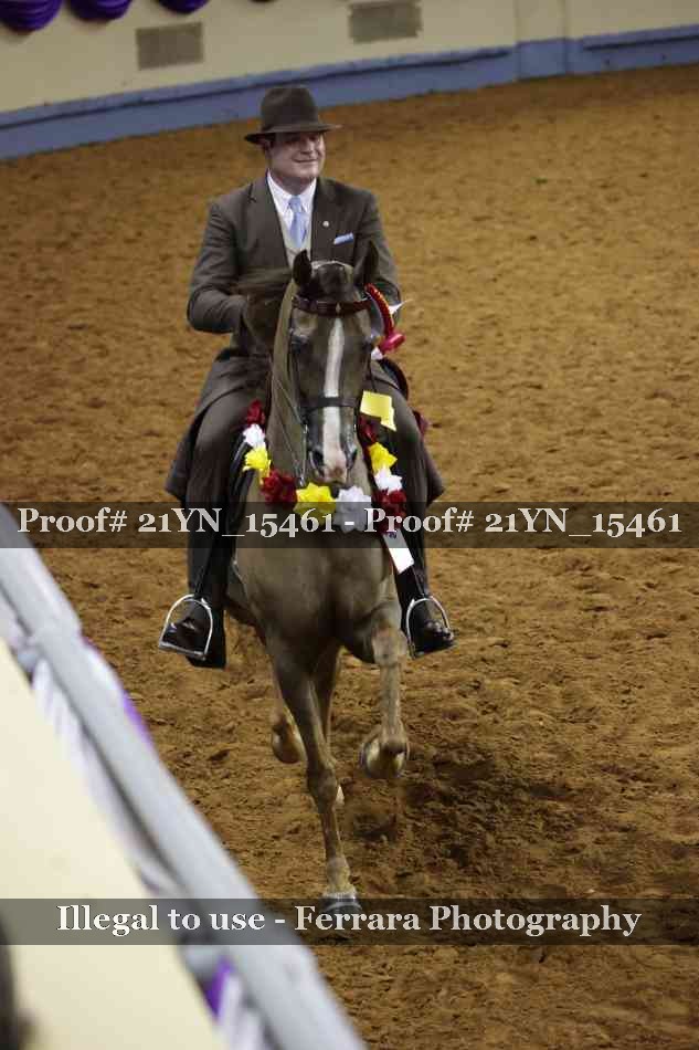 Proof 21YN_15461