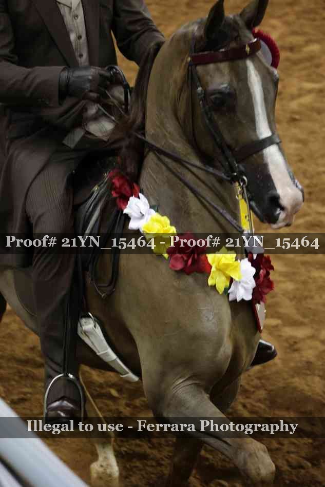 Proof 21YN_15464