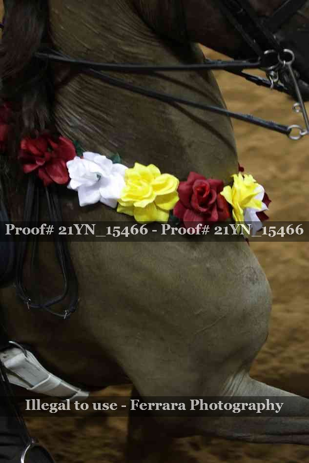 Proof 21YN_15466