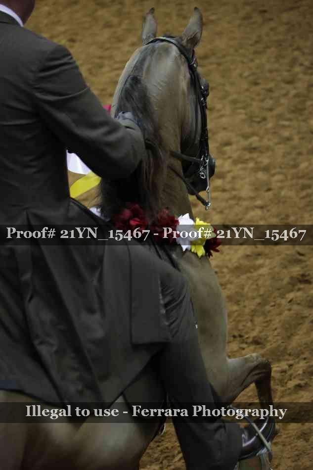 Proof 21YN_15467