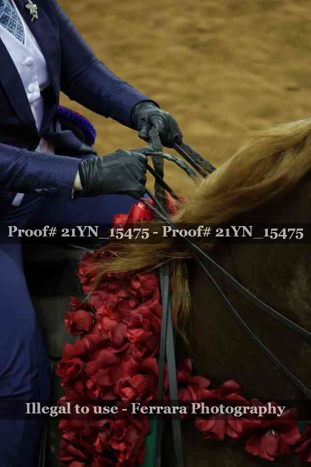 Proof 21YN_15475