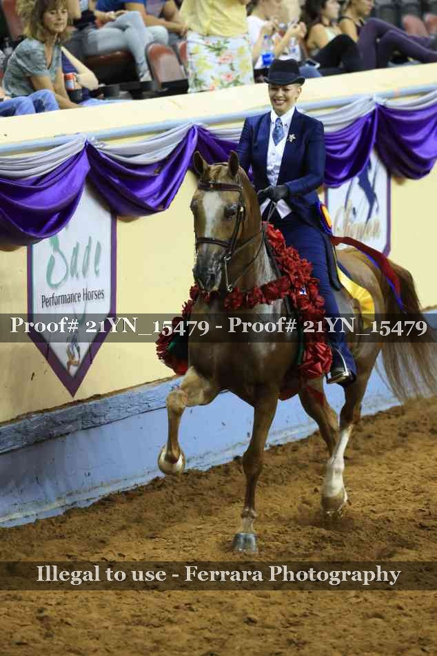 Proof 21YN_15479
