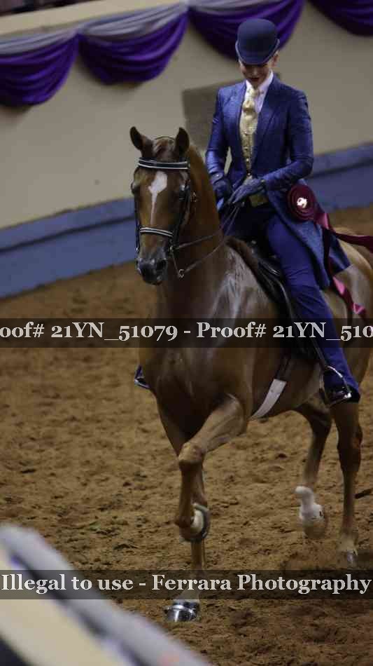 Proof 21YN_51079