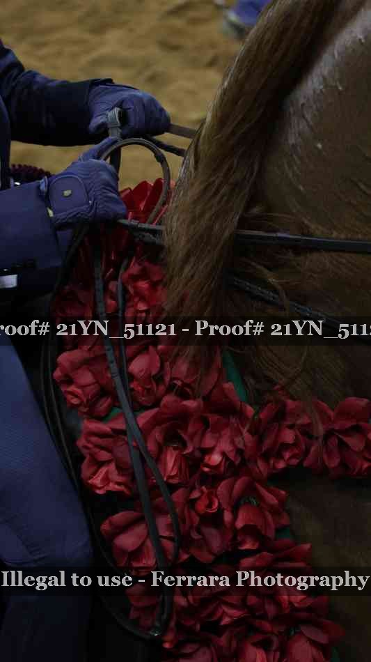 Proof 21YN_51121