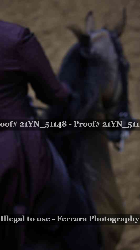 Proof 21YN_51148