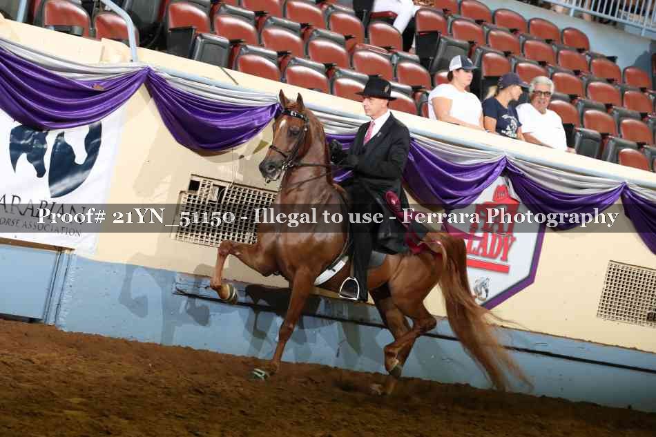 Proof 21YN_51150
