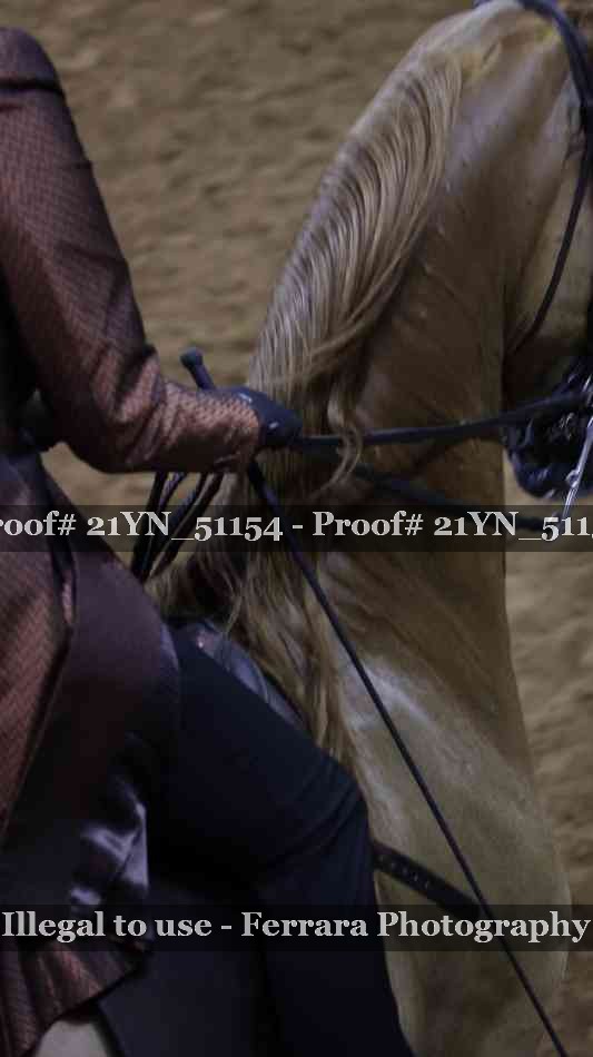 Proof 21YN_51154