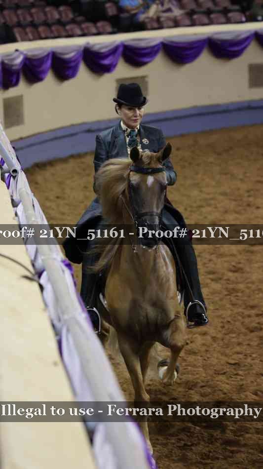 Proof 21YN_51161