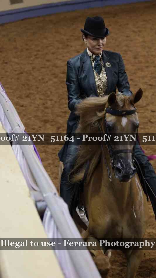 Proof 21YN_51164