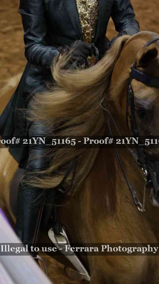 Proof 21YN_51165