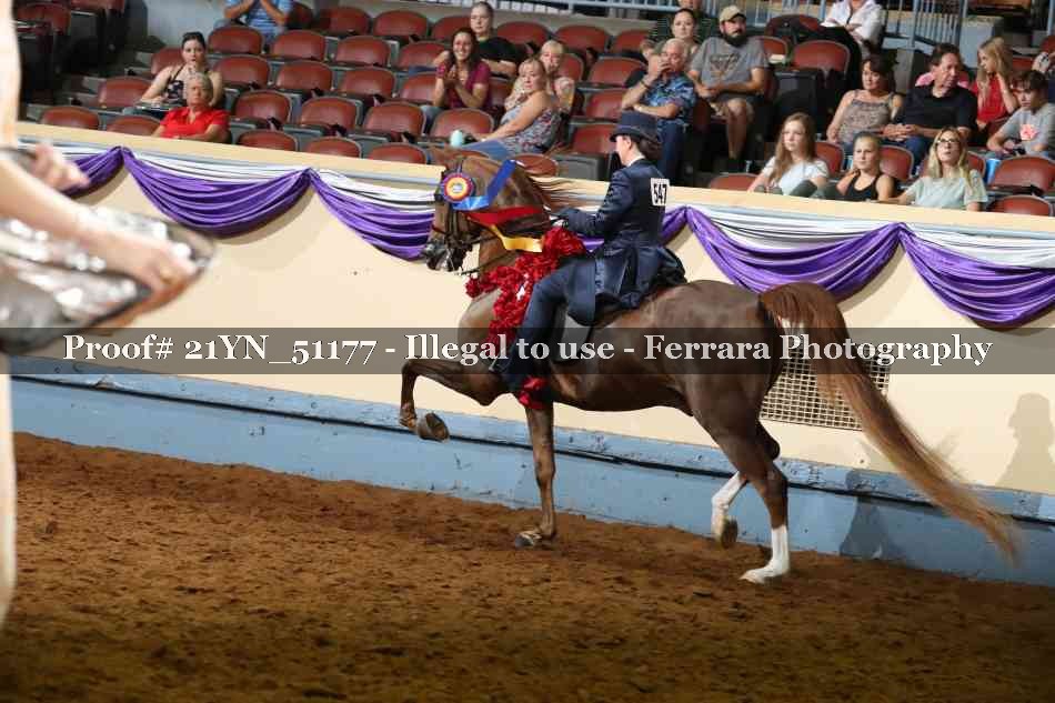 Proof 21YN_51177