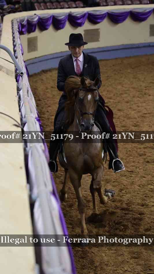 Proof 21YN_51179