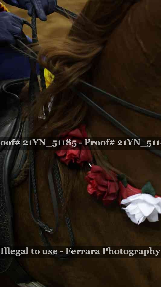 Proof 21YN_51185