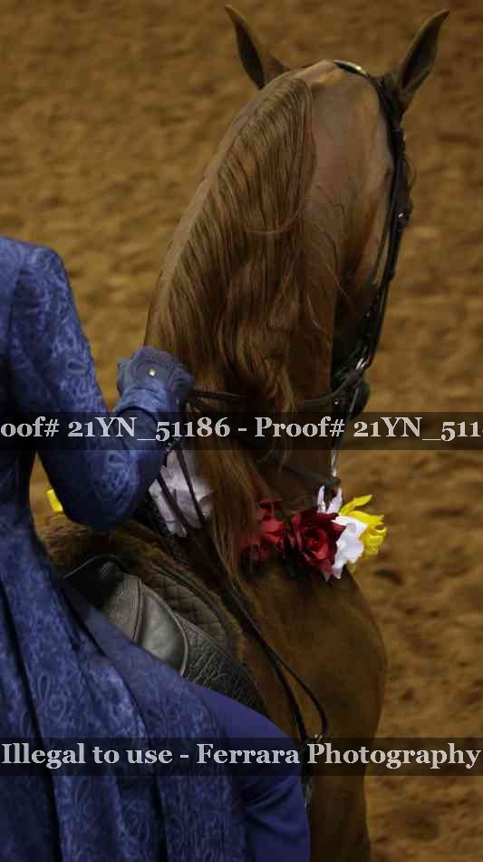 Proof 21YN_51186
