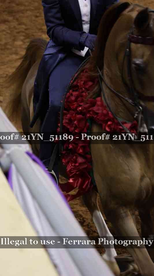 Proof 21YN_51189