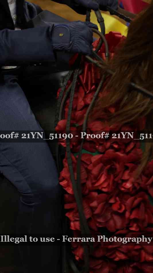 Proof 21YN_51190