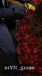 21YN_51190 proof