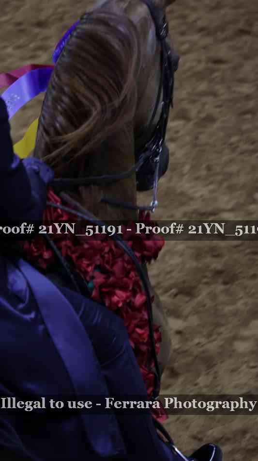 Proof 21YN_51191