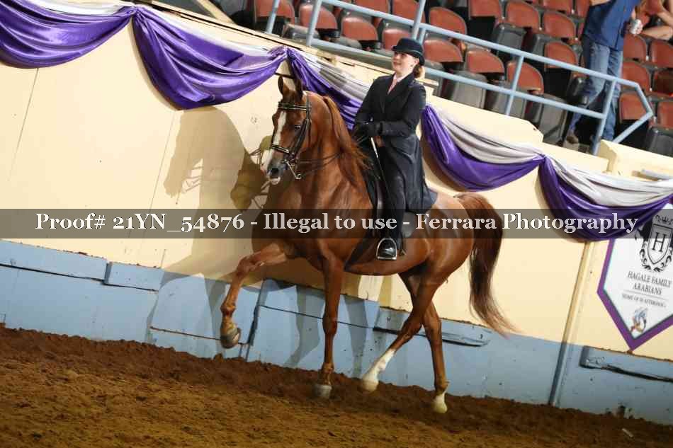 Proof 21YN_54876