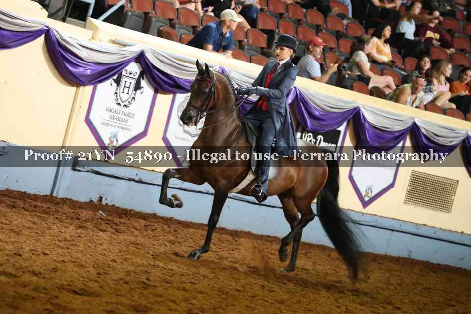 Proof 21YN_54890