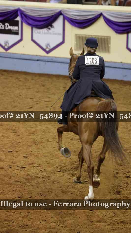 Proof 21YN_54894