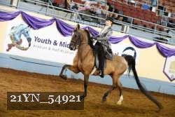 21YN_54921 proof